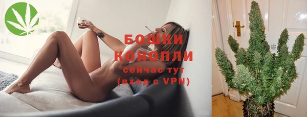 ГАЛЛЮЦИНОГЕННЫЕ ГРИБЫ Волосово