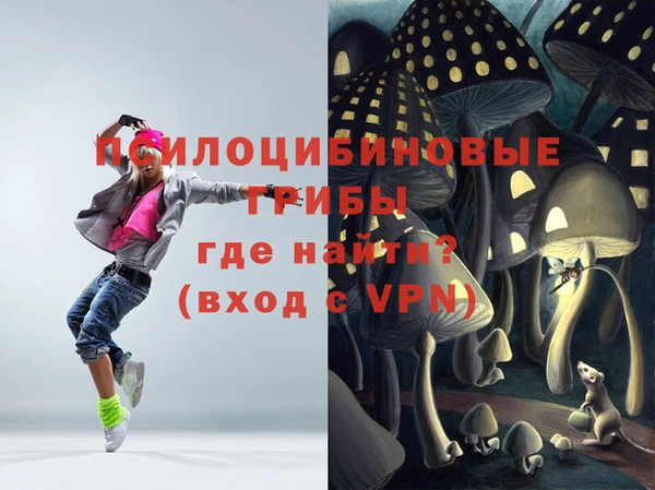 ГАЛЛЮЦИНОГЕННЫЕ ГРИБЫ Волосово
